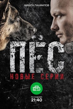 Пес 1,2,3,4,5,6,7 сезон